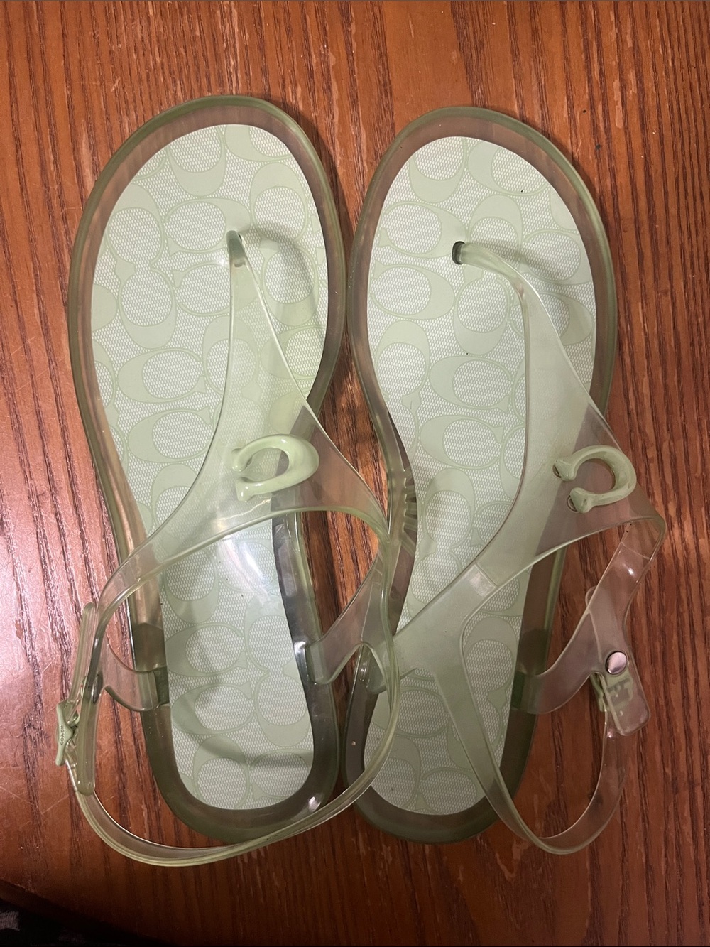 Clear Light Green Jelly Sandals - Women's Casual Flip-Strap